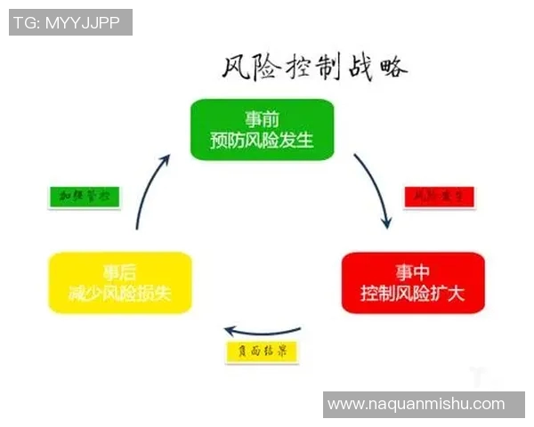 深入分析上海网球队的战术演变与转换打法的成功之道