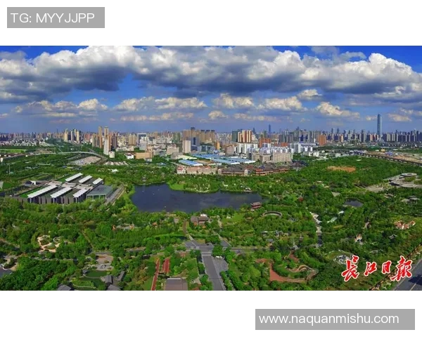 武汉排球队的蜕变之旅联合会杯特别报道展现新风貌与挑战