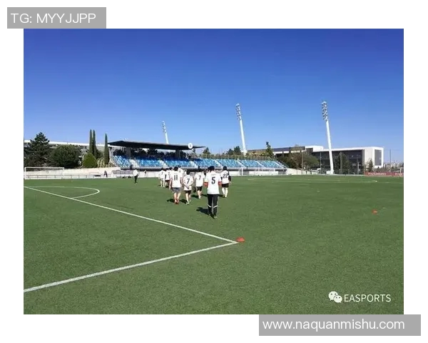 英国足球明星航母的荣耀与挑战：探寻传奇球员的成长之路与未来发展