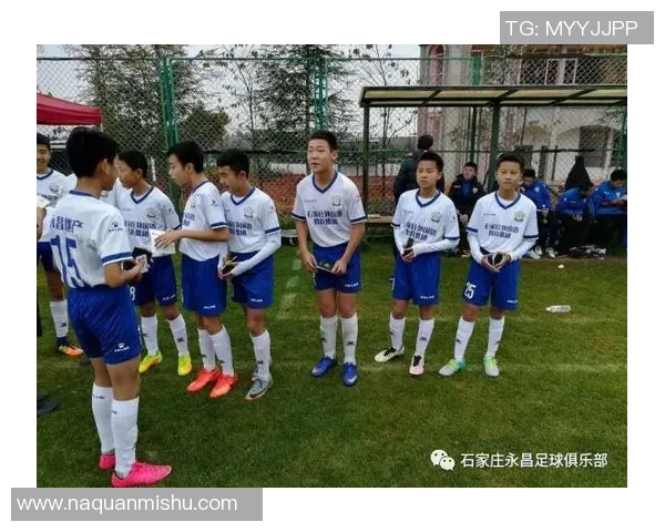 探索足球状分子的独特结构与功能在生物科学中的重要性与应用潜力