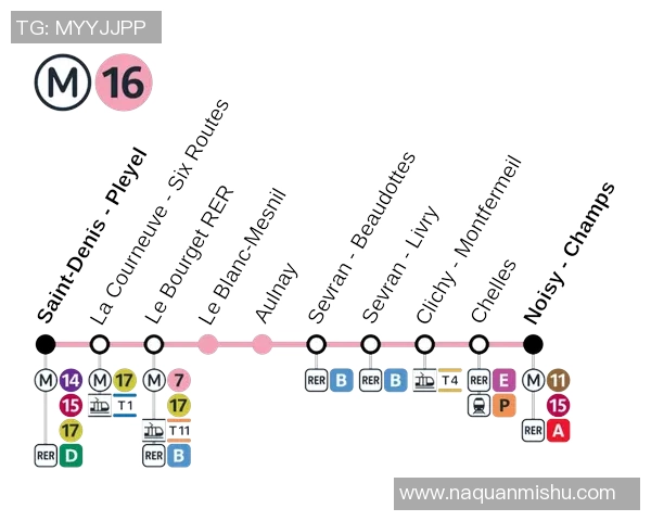 杭州网球队速度之争引发热议球迷与专家观点交锋分析