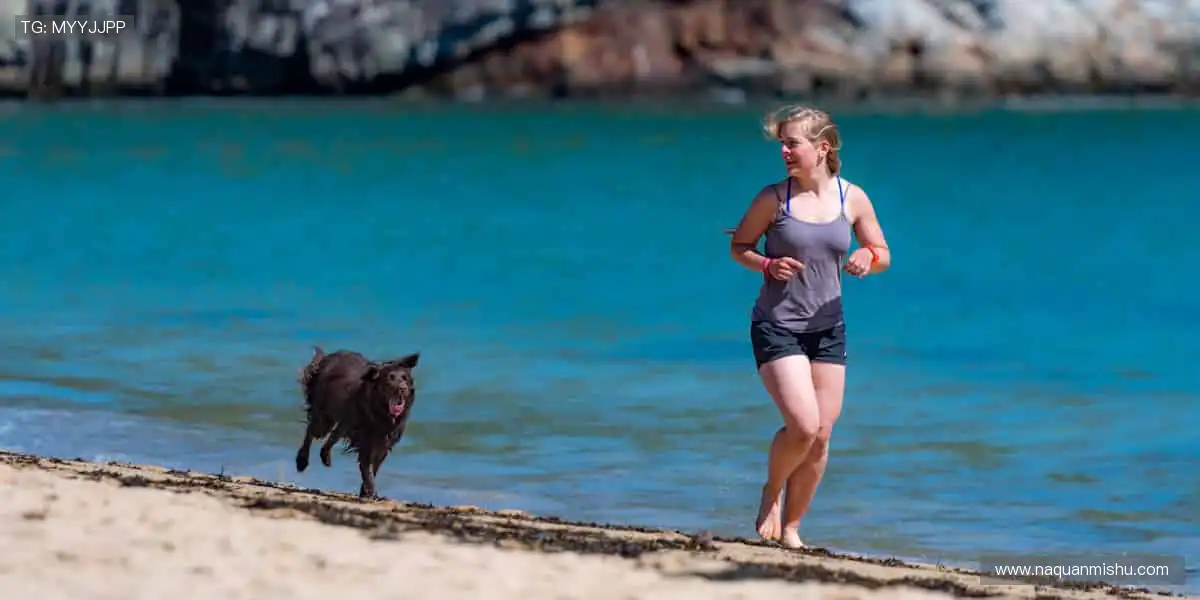 📺 高清直播,让你身临其境!